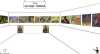 Zur&uuml;ck zum Raum "Vorgeschichte"